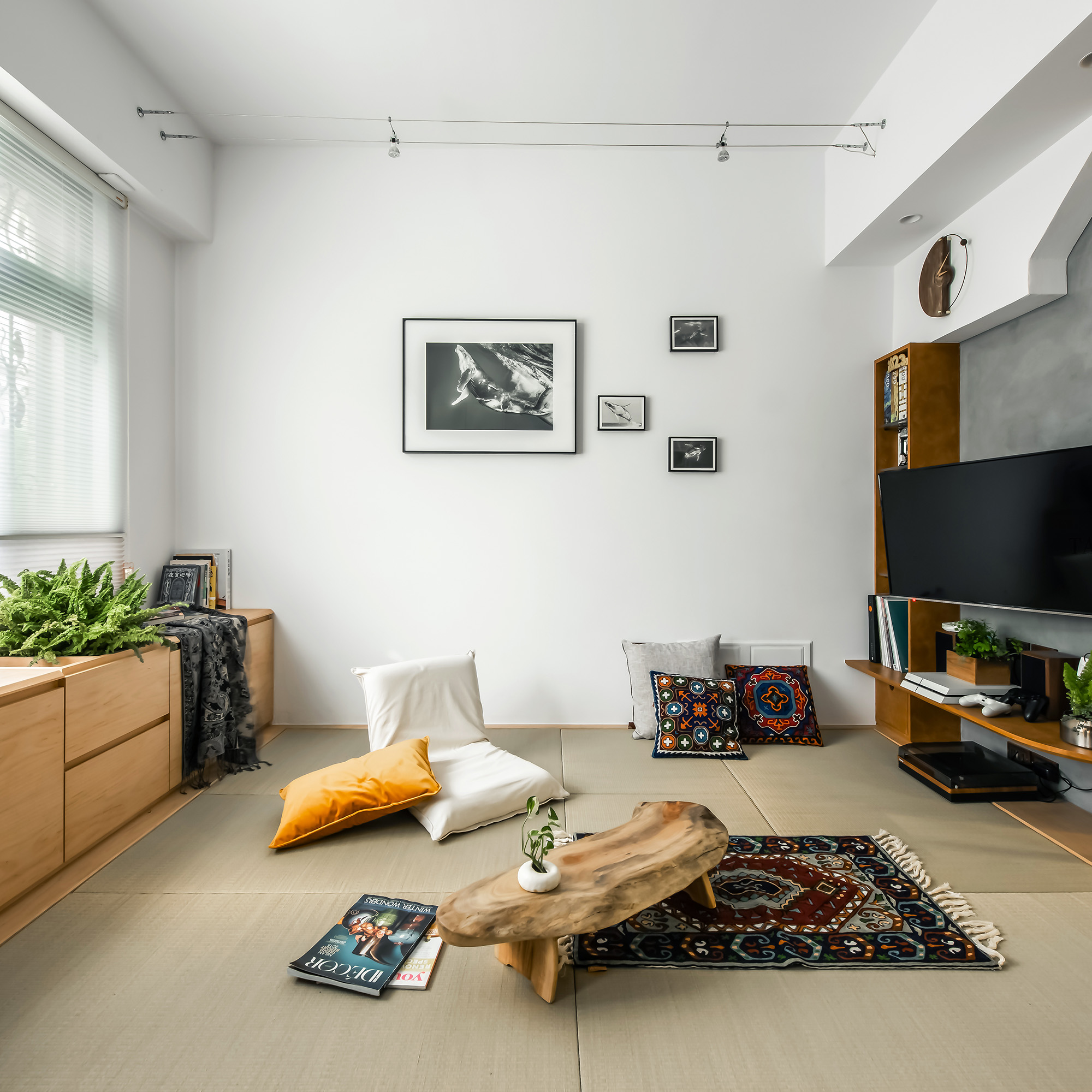 自由。大地。海